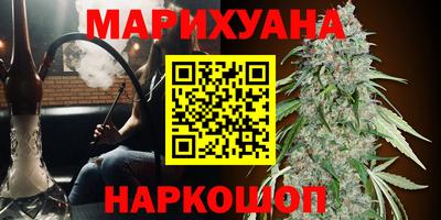 дмт Будённовск