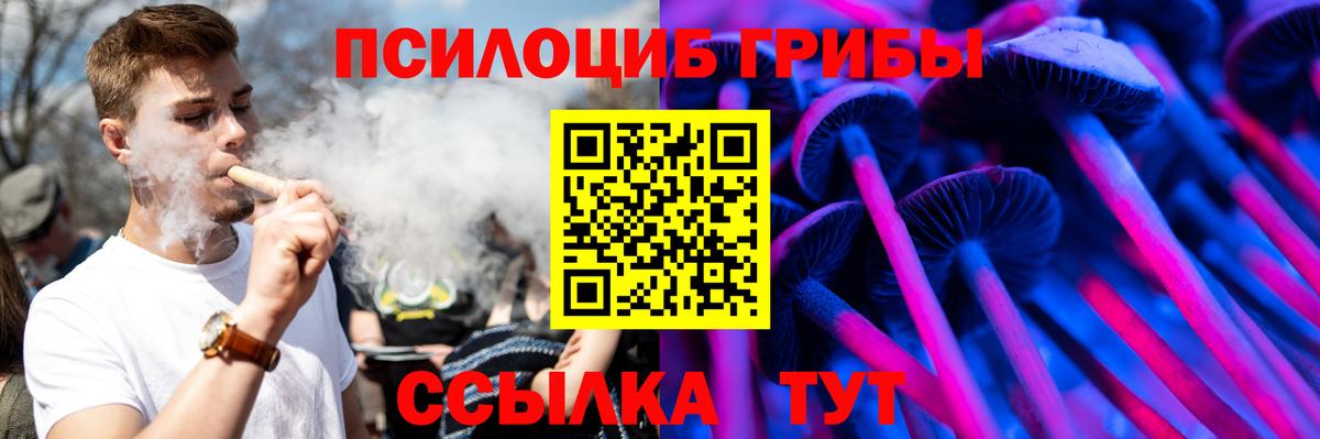 Галлюциногенные грибы прущие грибы  Галлюциногенные грибы мухоморы  Чайковский  Вход с VPN 